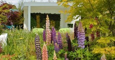 5 reasons you should go to Bloom this weekend