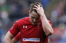Wales have lost one of their key players for the Rugby World Cup