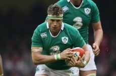 Here's Joe Schmidt's Ireland team to face the Barbarians tomorrow