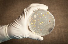 The US military accidentally shipped live anthrax around the country