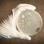 The US military accidentally shipped live anthrax around the country