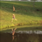 This little girl got chased by a goose, and all her dad could do was laugh