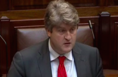 Labour TD to lose Dáil office after voting against Aer Lingus sale