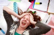 Yoga, puppy rooms and homeopathy used to de-stress students before exams