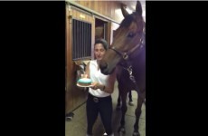 Nothing says 'long weekend' like this horse blowing out his own birthday candles