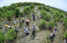 Just how much of an impact do volunteers have on the communities they help?