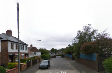 Murder investigation launched after body of boxer found in house