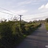 Woman's body discovered at house in Mayo