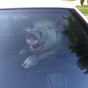 Can you guess what this smug pig just did in a police car?
