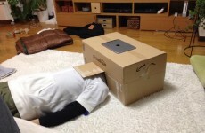 People are using cardboard boxes to make iPhone cinemas and it's strangely ingenious