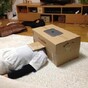 People are using cardboard boxes to make iPhone cinemas and it's strangely ingenious