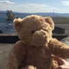 Good news: 'Seánie bear' has been reunited with his owner