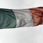 Police investigate after Irish tricolour raised over Stormont