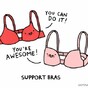 10 facts about bras everyone should know
