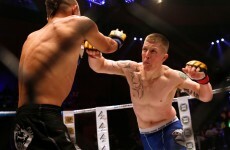 There's only one place MMA fans in Dublin should be this weekend