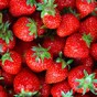Strawberries are not only delicious, they can maintain and boost your own gorgeousness