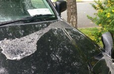 "What a waste of your time" - Yes campaigner to person who doused his family's cars with acid