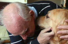 Bray man Joe Bollard says his guide dog taught him to 'look forward and not back'