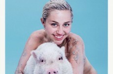 Miley Cyrus is happy as a pig in sh**e on this magazine cover... It's The Dredge