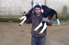Forget Tinder - lonely Irish farmers are looking for love on Facebook
