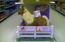 US bomb squad takes down toy pony