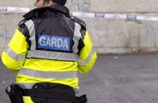 Two charged over €200,000 cannabis farm raid