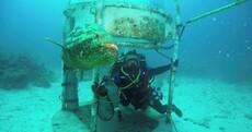 Scientists have built a lab 62 feet under the sea - but they aren't using it to explore the ocean