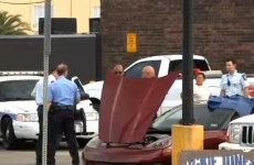 Elderly man and his dog die after becoming 'trapped inside' Corvette