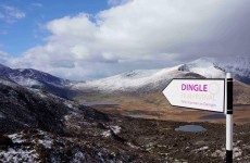 Here's why animation fans are being told to go to Dingle