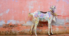 Here's ten more stunning images from the National Geographic Traveller Photo contest