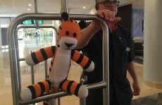 Airport staff took a little boy's lost teddy on a wonderful adventure of its own