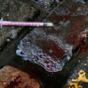 Almost 10,000 people are in methadone programmes in Ireland - and the number is rising