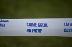Man arrested in connection with Tipperary slurry tank murder