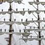 One of the world's biggest tall ships just sailed to Ireland from Mexico