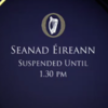 The government got a (very brief) scare in the Seanad today