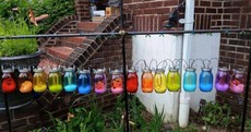 American woman is asked to tone down her "relentlessly gay" garden, gets spectacular revenge