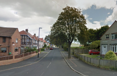 Three-week-old baby dies after being bitten by terrier dog