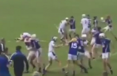 VIDEO: Ugly scenes in Waterford club hurling as brawl brings two red cards