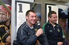 Where do Limerick and Wexford's battered hurlers go from here?