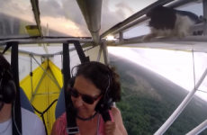 'Remove Cat Before Flight' is the one video you need to see today