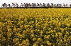 La Vuelta: Cobo storms to the summit to put Wiggins' dreams in doubt