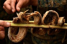 These are some of the most bizarre dishes from around the world