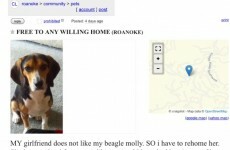 This Craigslist ad for a dog takes quite an unexpected turn at the end...