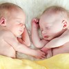Why are A LOT more twins and triplets being born in Ireland?