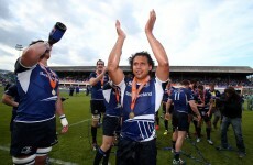 'There was always an urge to come back to Ireland' - Nacewa's return a 'no-brainer'