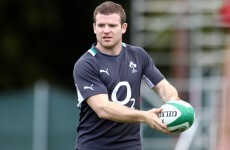 Delayed arrivals: D'Arcy and Healy join team-mates in New Zealand