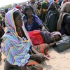 750,000 Somalis now at risk of death from famine - UN
