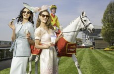 No plans for the weekend yet? Here are some of the best things to do around Ireland