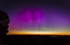 Pics: Want to see the Northern Lights? Keep your eyes on the sky over the next few nights