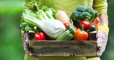 For all its technological wizardry, there is a terrifying blandness about modern food